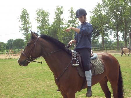 miss angel et sa jument nuts